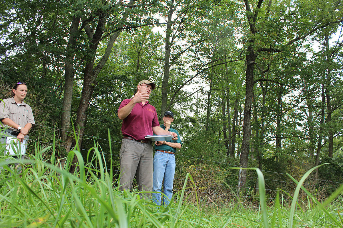 Virginia Tech instructors