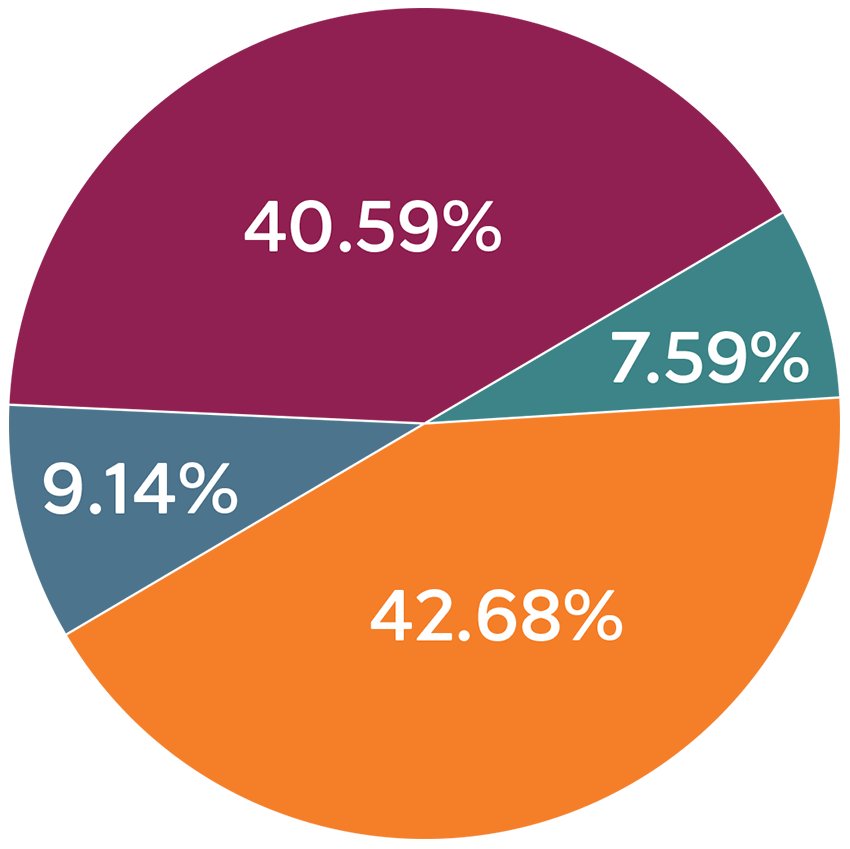 pie chart